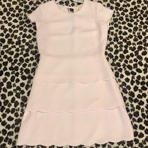 Club Monaco Dress, Blush